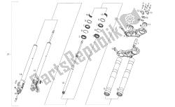 forcella anteriore