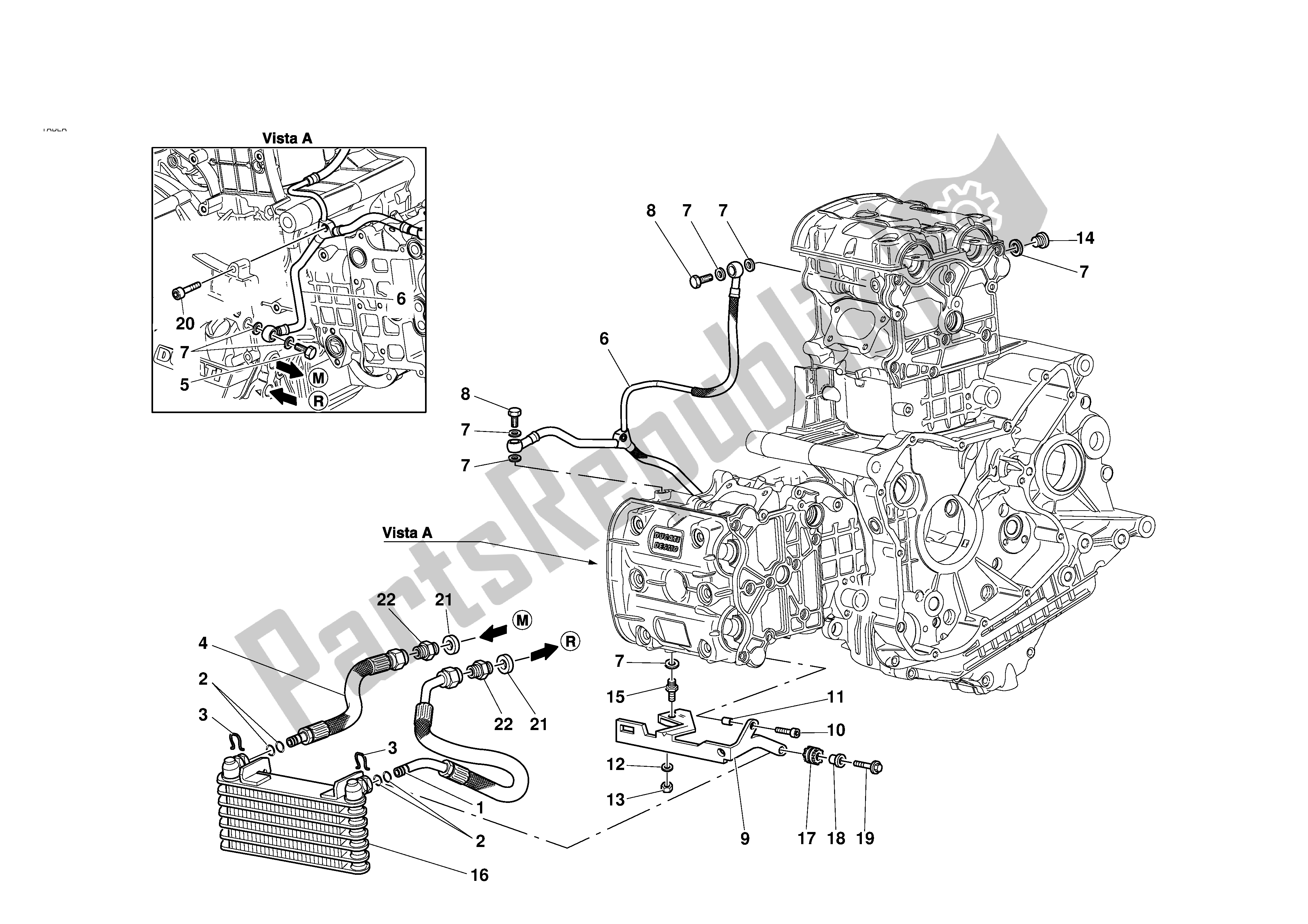 Tutte le parti per il Radiatore Dell'olio del Ducati 996R 2001