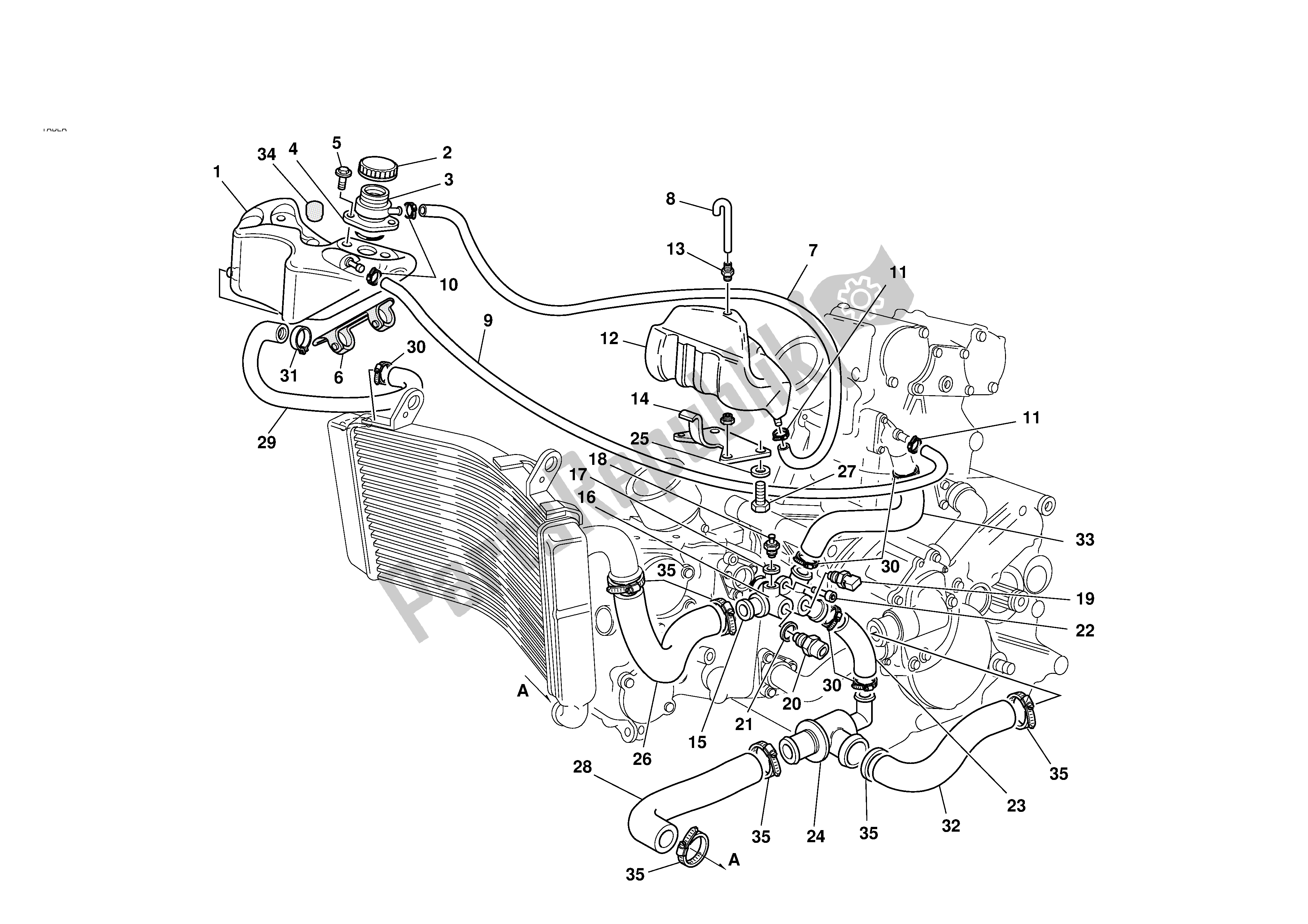 Tutte le parti per il Circuito Di Raffreddamento del Ducati 996S Biposto 2001