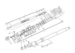 forcella anteriore
