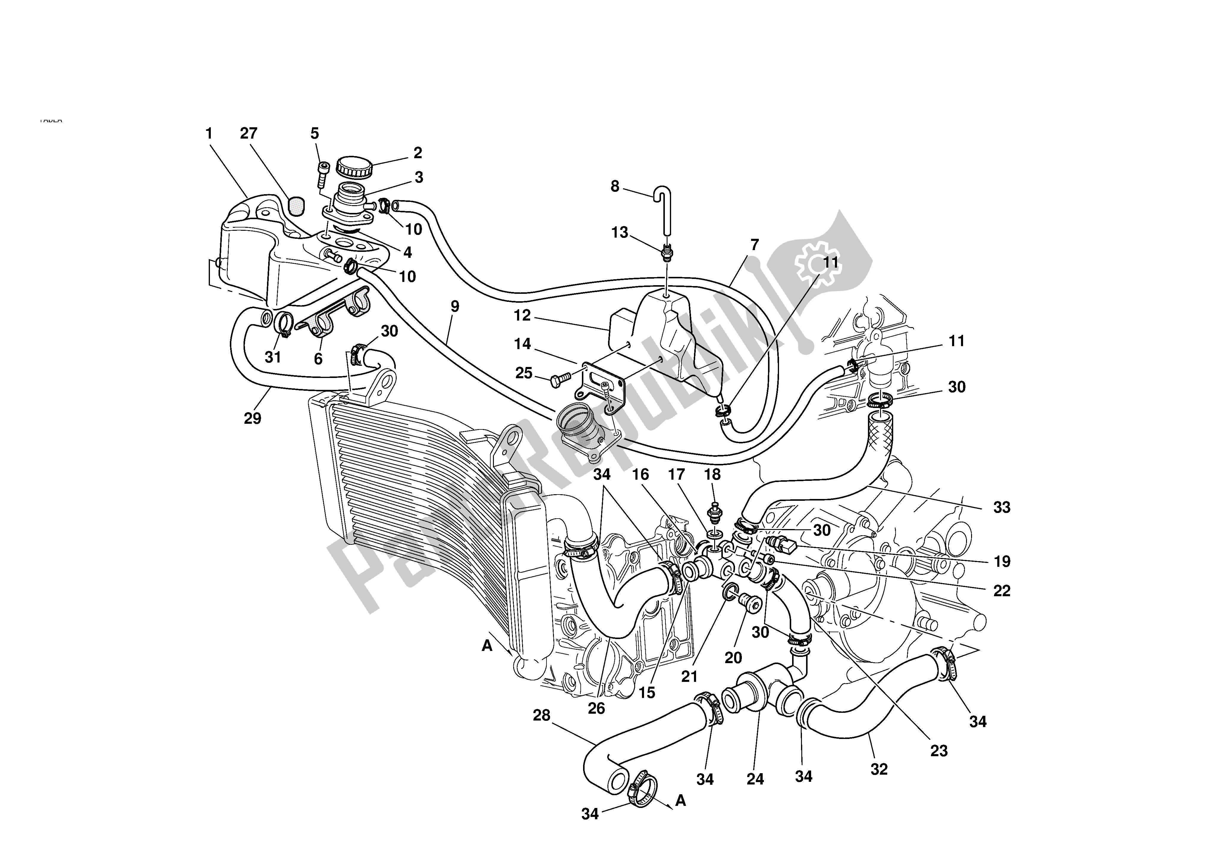 Tutte le parti per il Circuito Di Raffreddamento del Ducati 998R 2002