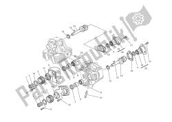 testata: timingsystem