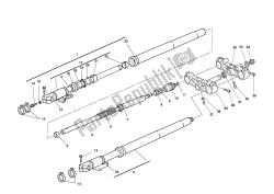 forcella anteriore