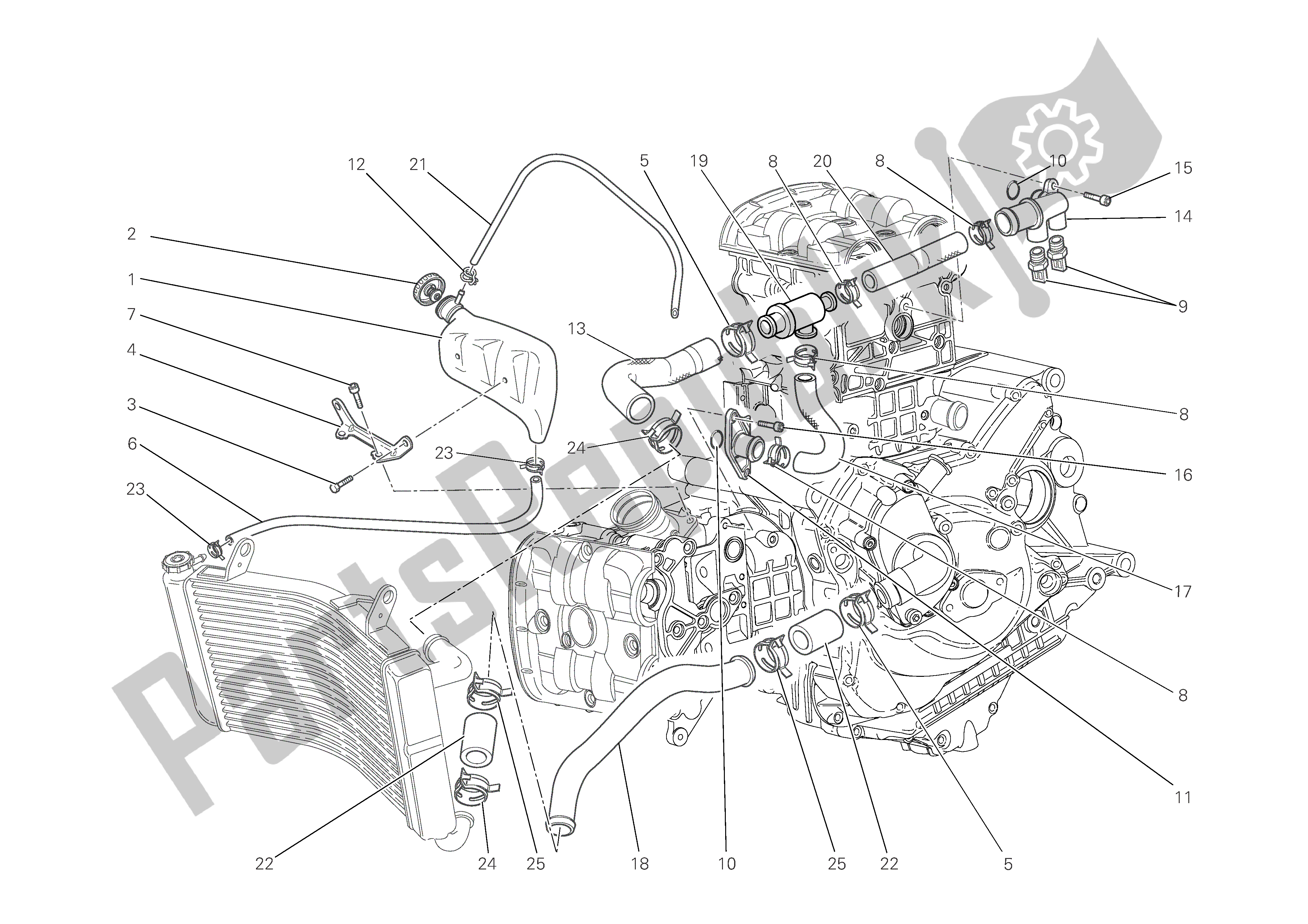 Alle onderdelen voor de Koelsysteem van de Ducati Monster S4 RS 1000 2006