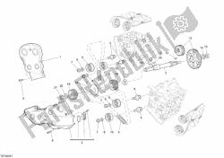 cinghia di distribuzione