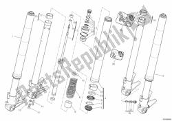 forcella anteriore