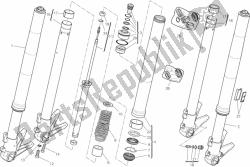 forcella anteriore