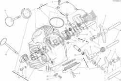 11d - Horizontal Head