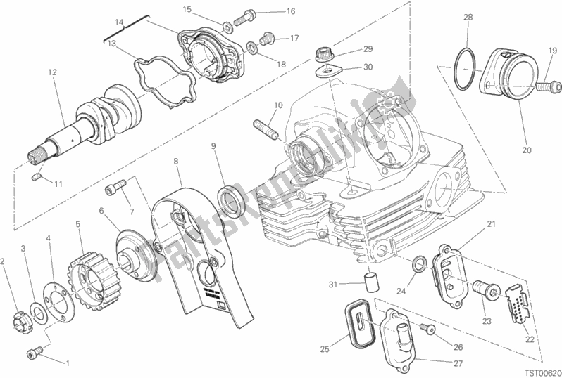 Todas las partes para Culata Vertical - Sincronización de Ducati Scrambler 1100 2019