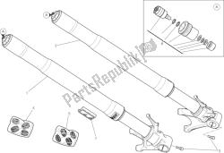 21a - forcella anteriore