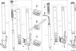 forcella anteriore