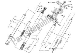 forcella anteriore