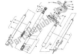 forcella anteriore
