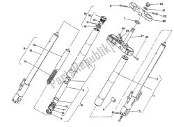 forcella anteriore