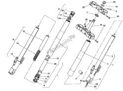 forcella anteriore