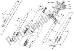 forcella anteriore