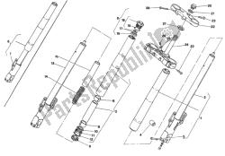 forcella anteriore