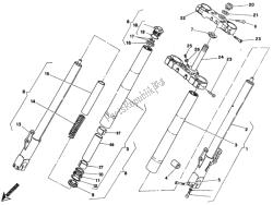 forcella anteriore