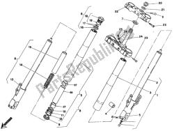 forcella anteriore