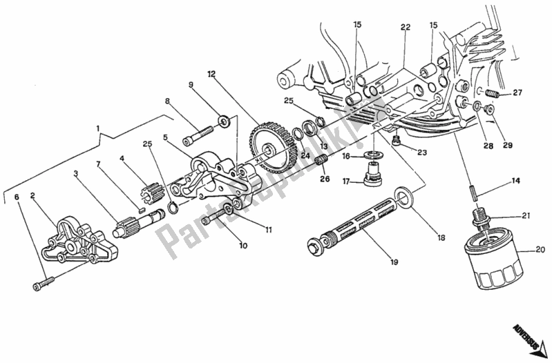 Tutte le parti per il Pompa Dell'olio - Filtro del Ducati Monster 600 1997