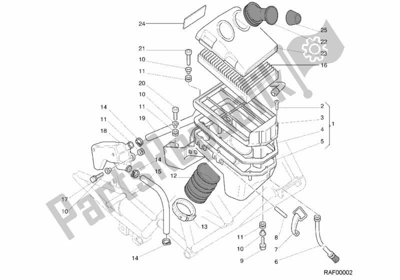 Tutte le parti per il Presa del Ducati Monster 600 2001