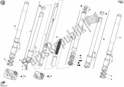 forcella anteriore