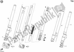 forcella anteriore