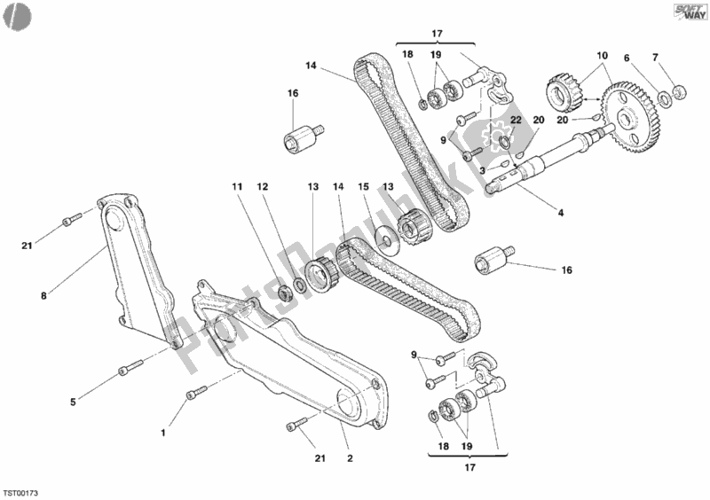 Alle onderdelen voor de Distributieriem van de Ducati Monster 620 2005