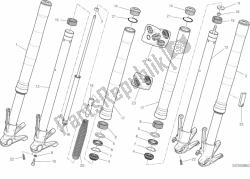 forcella anteriore