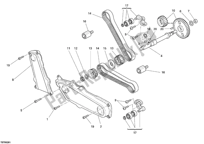 Todas las partes para Correa Dentada de Ducati Monster 695 2007