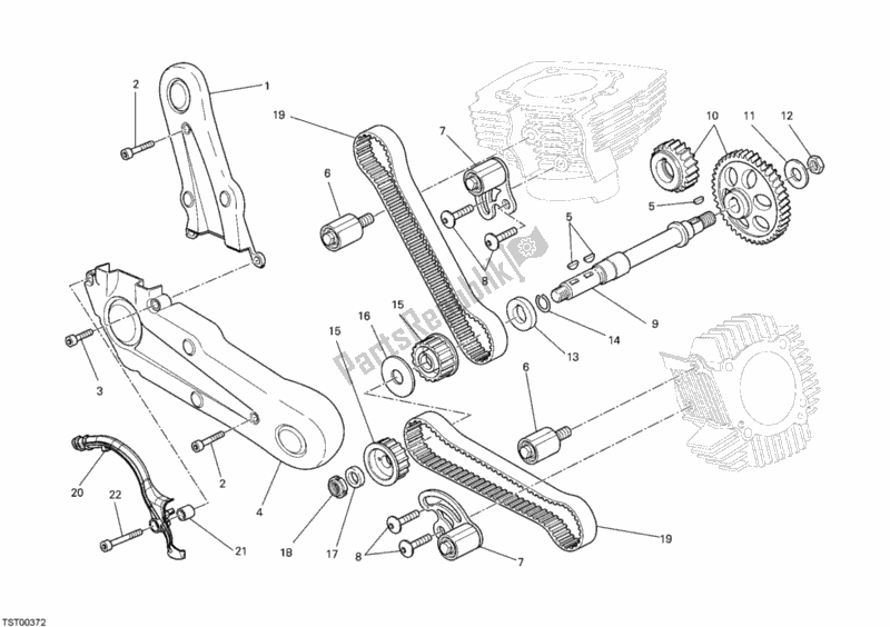 Alle onderdelen voor de Distributieriem van de Ducati Monster 696 2008