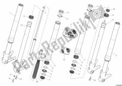 forcella anteriore