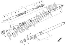 forcella anteriore