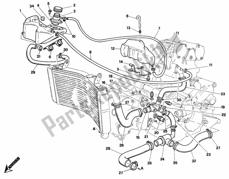 All parts for the Cooling Circuit of the Ducati Superbike 748 1996