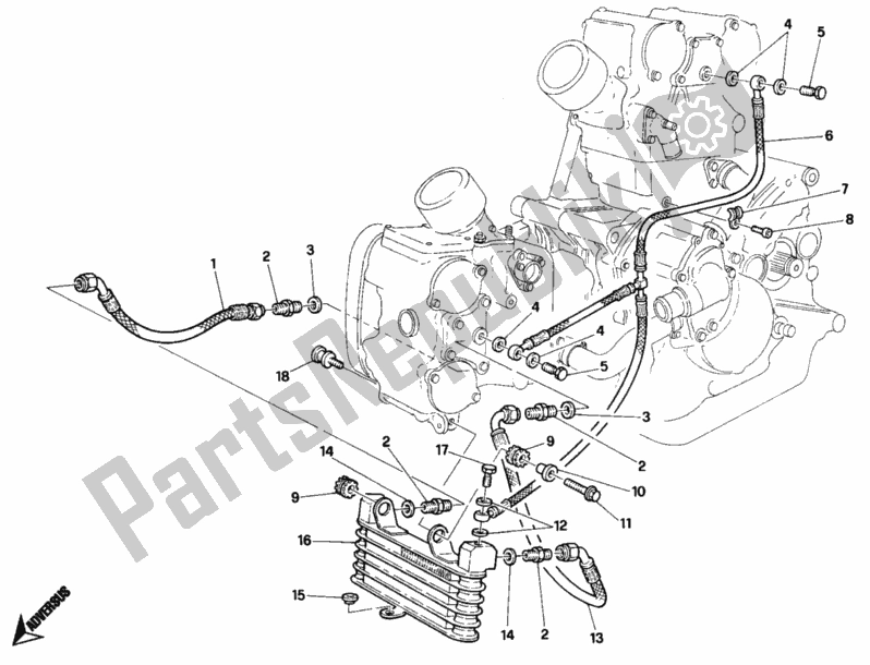 Tutte le parti per il Radiatore Olio Sp del Ducati Superbike 748 1996