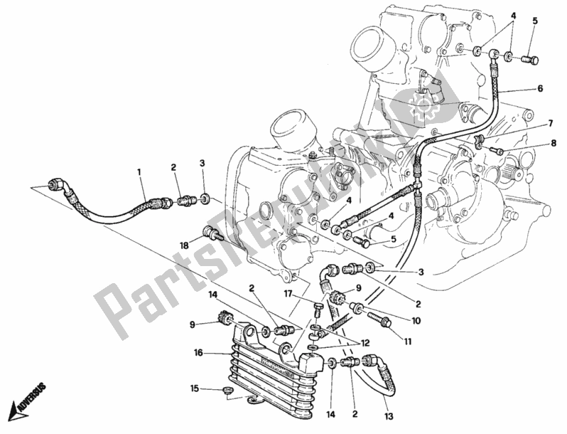 Tutte le parti per il Radiatore Olio Sp del Ducati Superbike 748 1997