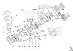 cinghia di distribuzione