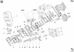 cinghia di distribuzione