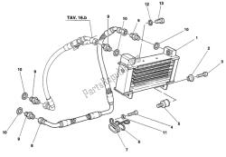 radiatore olio dm 009756