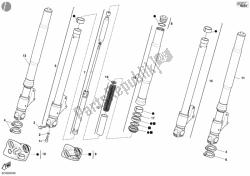 forcella anteriore