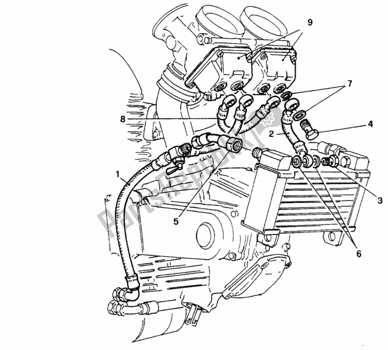 Tutte le parti per il Riscaldamento A Camera Galleggiante del Ducati Monster 750 1996