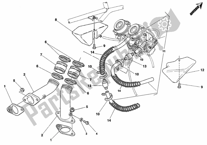 Tutte le parti per il Collettore Di Aspirazione del Ducati Monster 750 1996