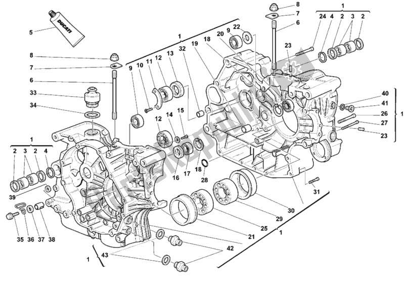 Tutte le parti per il Carter del Ducati Monster 750 1999