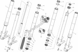 024 - forcella anteriore