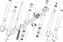 024 - forcella anteriore