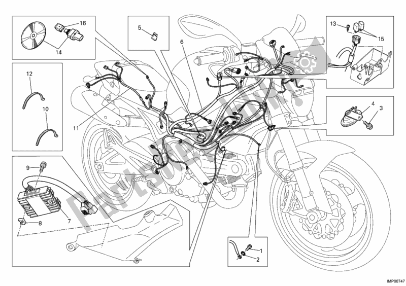 Toutes les pièces pour le Faisceau De Câblage du Ducati Monster 795 2012