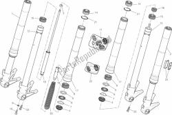 024 - forcella anteriore