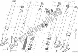 forcella anteriore