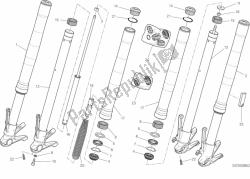 forcella anteriore