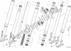 forcella anteriore